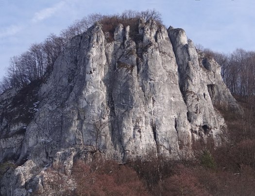 775px-sokolica_dk24_28229