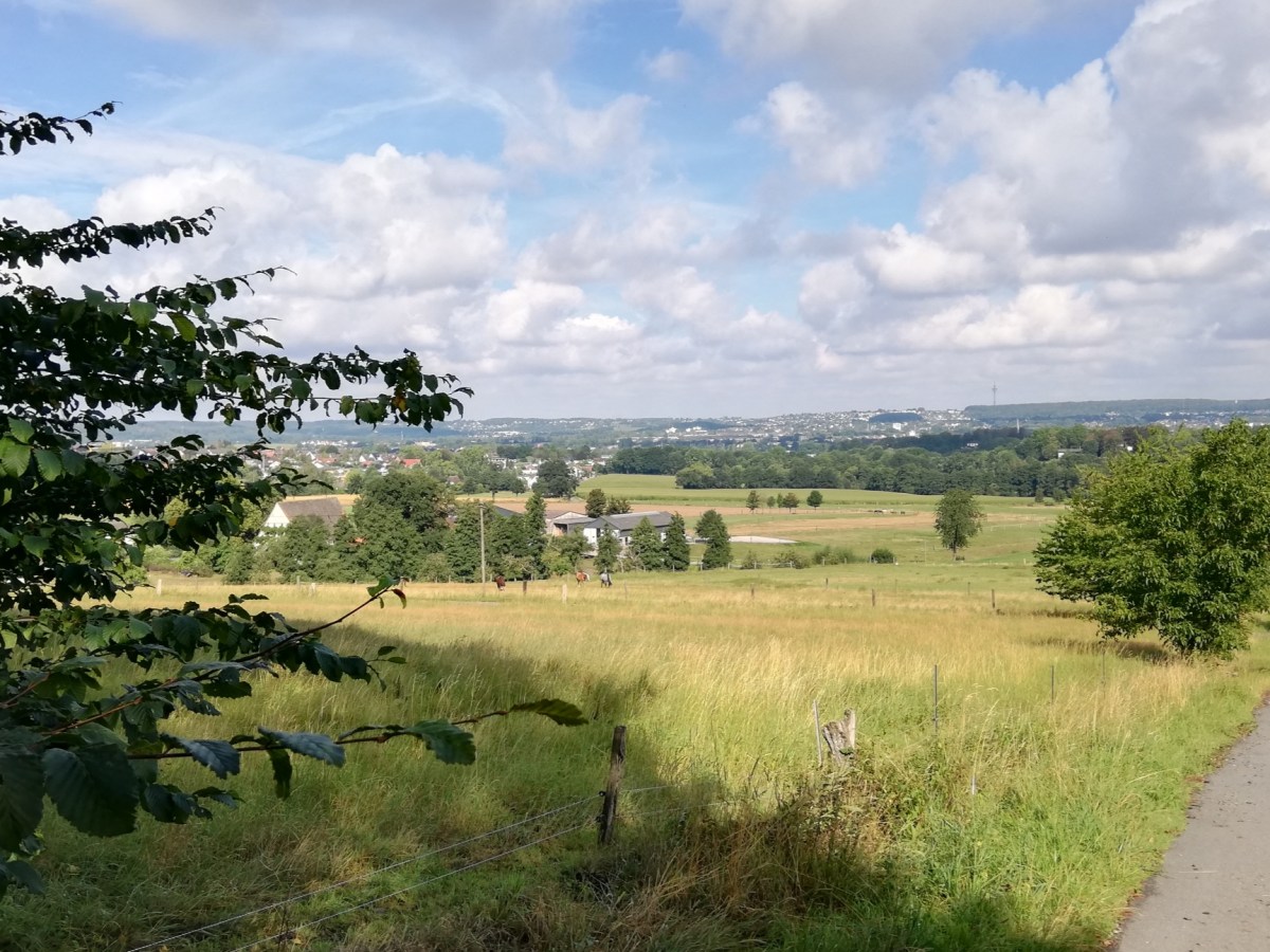 Elsebachtal